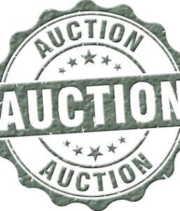 Auction Payments